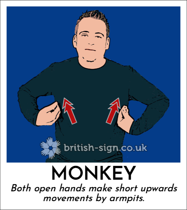 Monkey: Both open hands make short upwards movements by armpits.